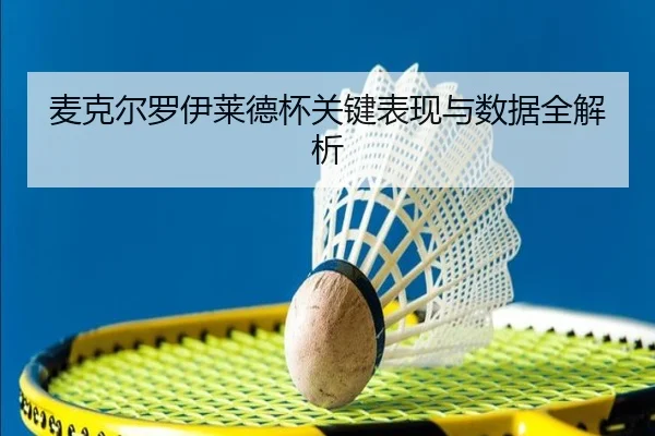 麦克尔罗伊莱德杯关键表现与数据全解析 | suncity